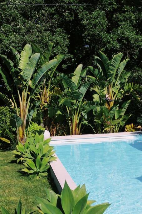 Casa Oliva - Casa Do Lago Porto de Mós エクステリア 写真