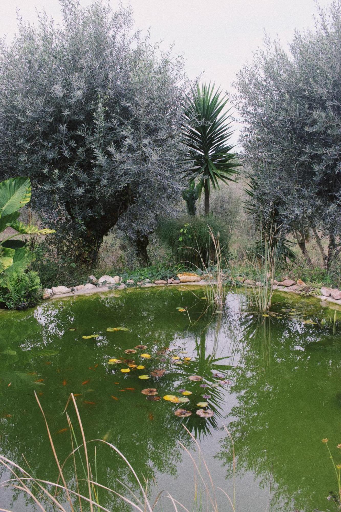 Casa Oliva - Casa Do Lago Porto de Mós エクステリア 写真